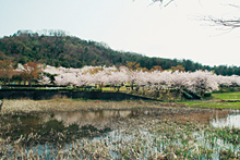 鏡山公園