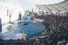 神戸市立須磨海浜水族園