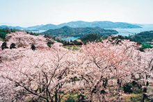 開山公園