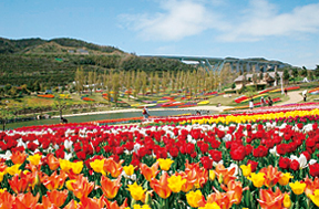 雄大な淡路島国営明石海峡公園