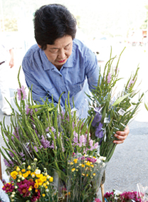 「夢楽市場」には、農家直売の野菜と花がいっぱい