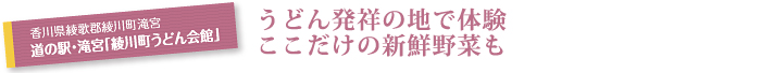 香川県綾歌郡綾川町滝宮　道の駅・滝宮「綾川町うどん会館」　うどん発祥の地で体験　ここだけの新鮮野菜も