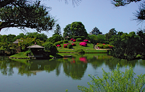 四季の自然を楽しめる園内からは、岡山城、別名・烏城と呼ばれる黒壁の天守閣が望めます