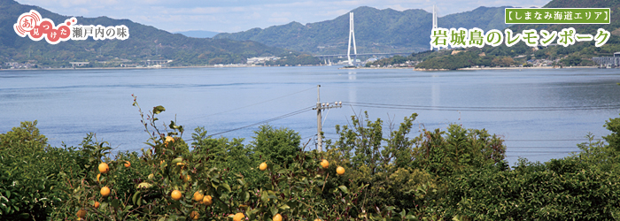 あ！見つけた 瀬戸内の味【しまなみ海道エリア】岩城島のレモンポーク