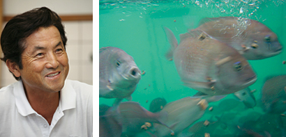 （写真左）養殖鯛への情熱あふれる大塚さん（写真右）鯛の赤も美しい愛鯛