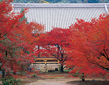 大乗寺