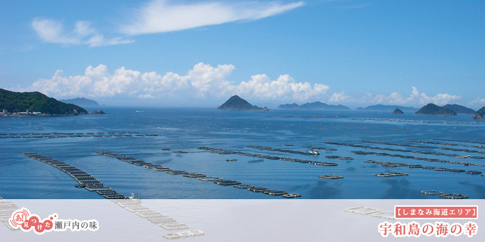 あ！見つけた 瀬戸内の味【しまなみ海道エリア】宇和島の海の幸