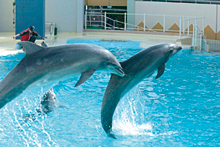 須磨海浜水族園