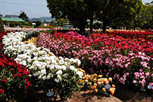 岡山市半田山植物園