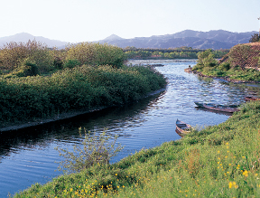 吉野川沿岸