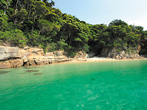 驚くほど透き通った大島の入り江