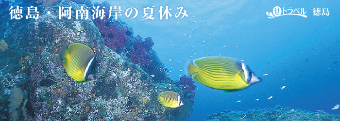 徳島・阿南海岸の夏休み