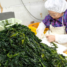 （株）芝原水産