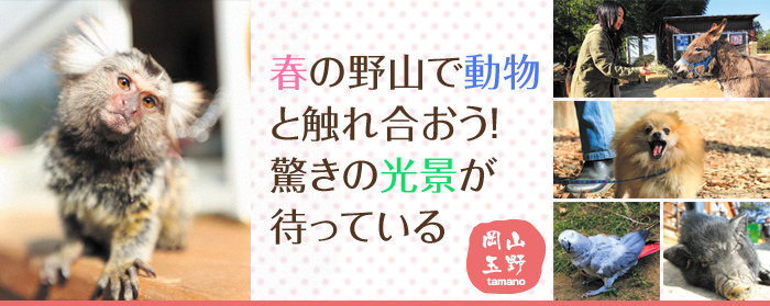 幸せ感じに、四国山地に抱かれた高知へ