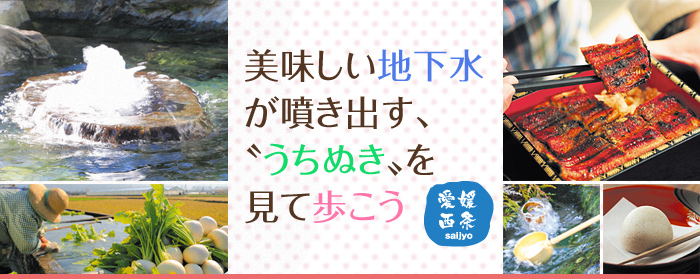 せトラベル 美味しい地下水が噴き出す、〝うちぬき〟を見て歩こう