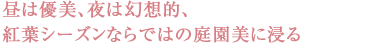 穏やかな瀬戸内の海を滑るように進む