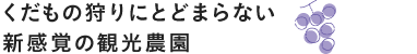 くだもの狩りにとどまらない新感覚の観光農園