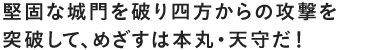 堅固な城門を破り四方からの攻撃を突破して、めざすは本丸・天守だ！