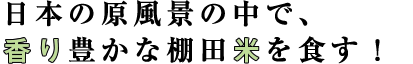 日本の原風景の中で、香り豊かな棚田米を食す！