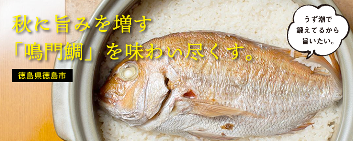 秋に旨みを増す「鳴門鯛」を味わい尽くす。