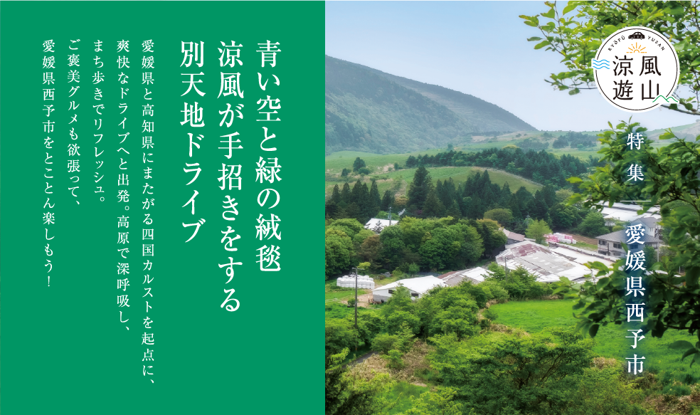 青い空と緑の絨毯 涼風が手招きをする別天地ドライブ