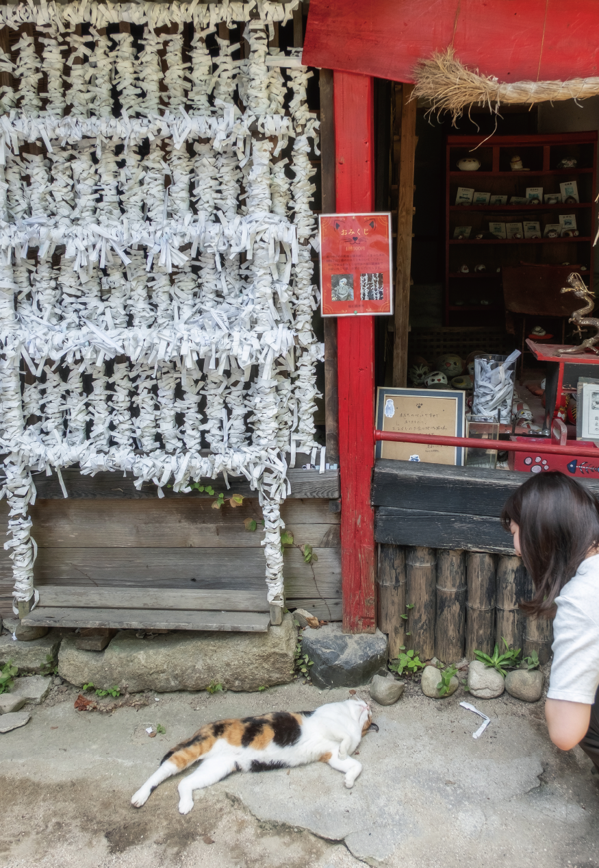 福石猫神社には、一風変わったおみくじもある。ご近所の猫だろうか、人慣れした三毛猫がのんびりとくつろいでおり、その姿も癒しに満ちている