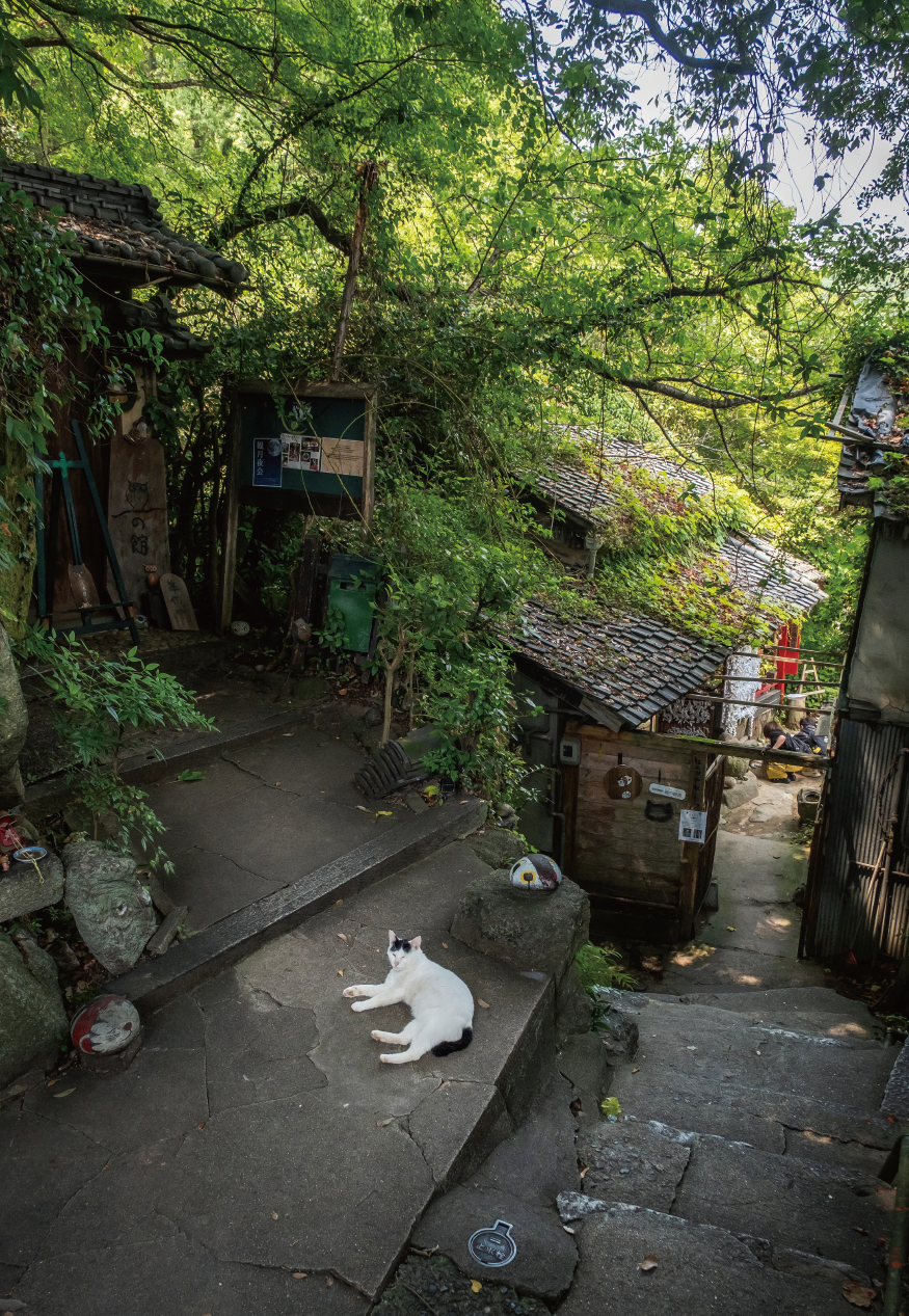 道案内をするかのように、あちらこちらにホンモノの猫の姿