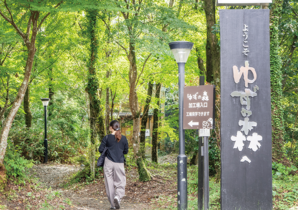 馬路村農協の加工場の周りに広がる「ゆずの森」は、森に迷い込んだかのような叙情的なスポット