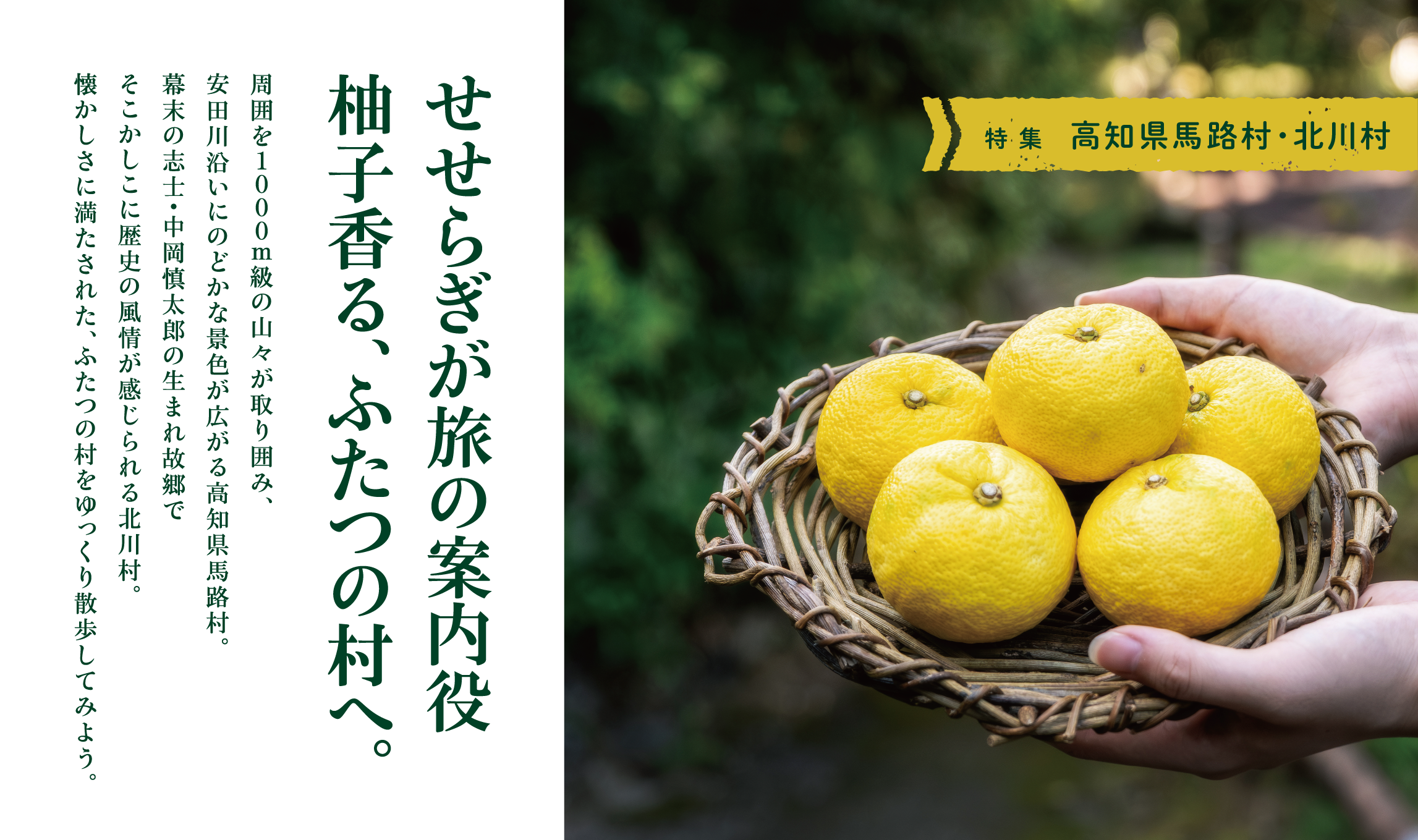 せせらぎが旅の案内役柚子香る、ふたつの村へ。