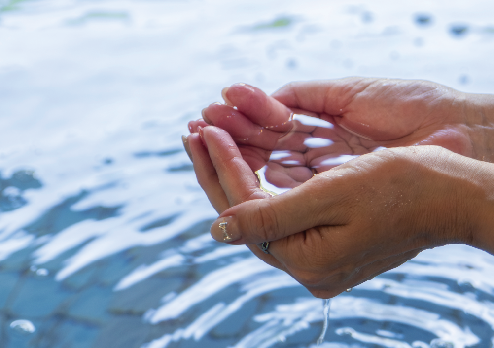 薪で沸かしたお湯と掛け流しの源泉(冷泉)の温冷交代浴は、サウナのような整う感覚が得られると評判。卵形のデザインがユニークな貸切サウナスペース、焚き火料理が楽しめる客室など、ローカル・エネルギーである薪をエンタメとして提供している施設だ