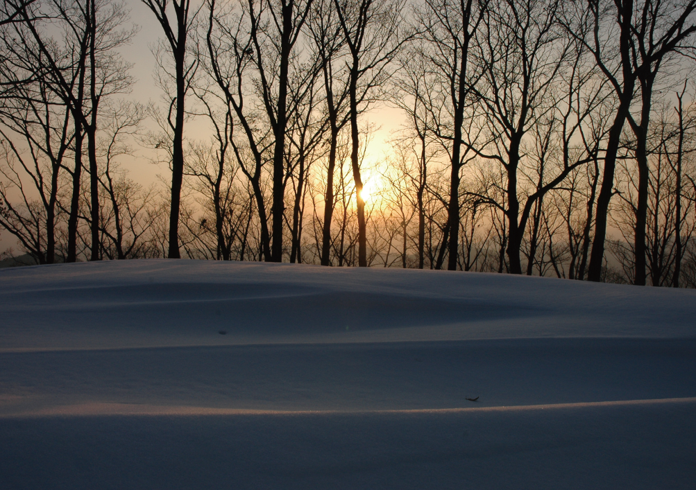 冬は雪景色がお出迎え