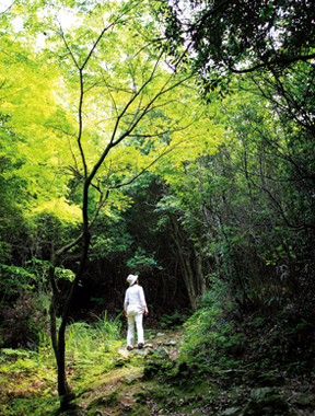 山の頂上へ向かう「太古への入口」