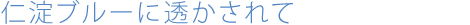 仁淀ブルーに透かされて