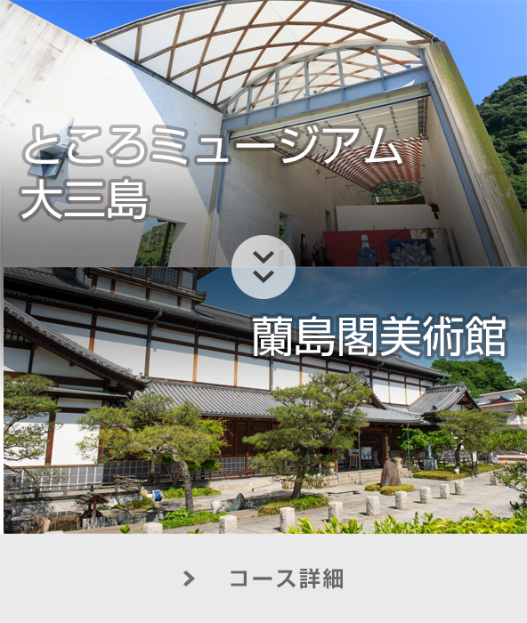 ところミュージアム大三島～蘭島閣美術館 コース詳細