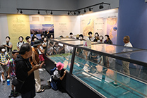 橋の科学館見学の様子