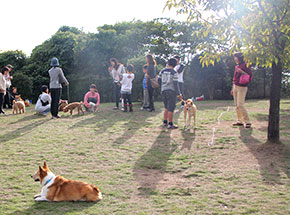 DOG　RUN　わくわくDay：くつろぎ風景