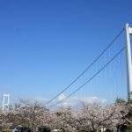 桜と橋のある風景