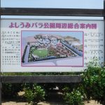 よしうみバラ公園に行ってきました！