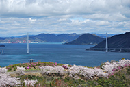 多々羅大橋 伯方島 開山公園より