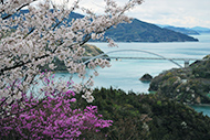 大三島橋 伯方島 開山より