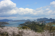 来島海峡大橋 海山城展望公園より